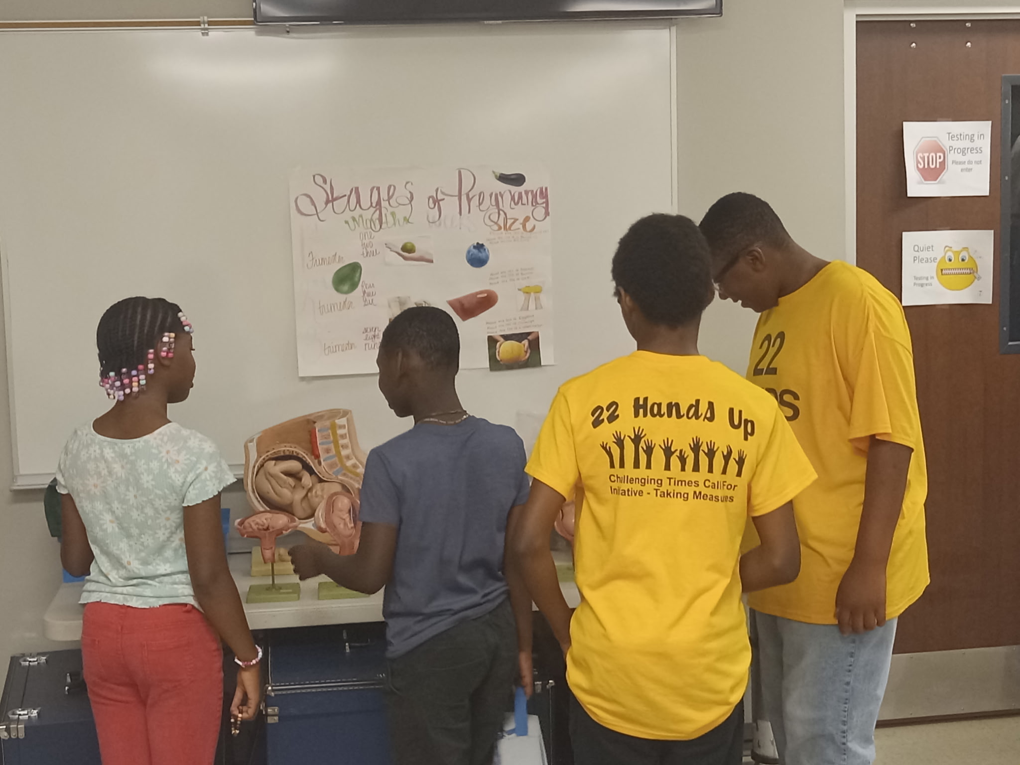 Students studying a stages of pregnancy anatomy lesson